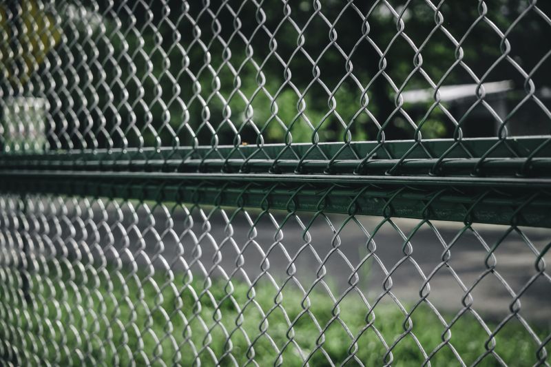 Chain Link Fence Painting