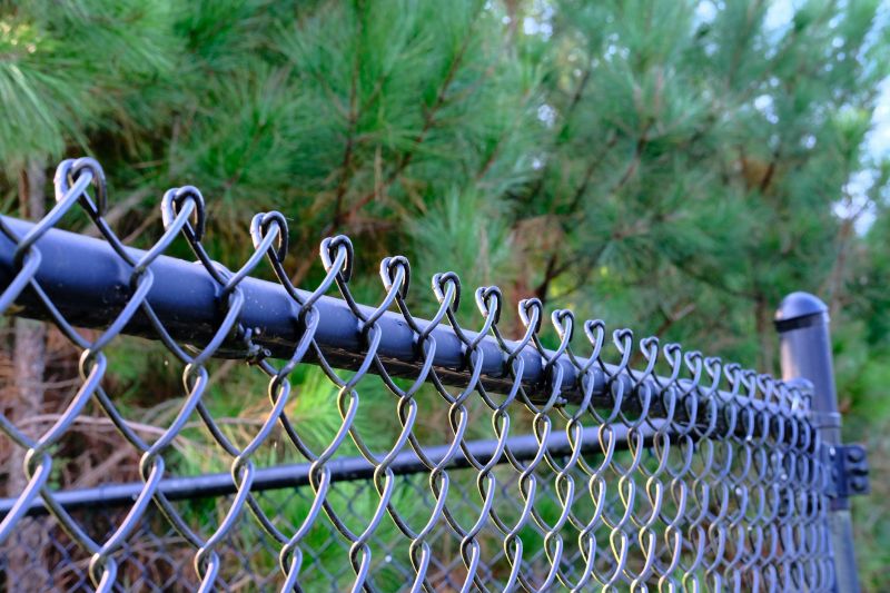 Chain Link Fence Painting
